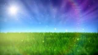 Free Nature Video BackGround  HD [upl. by Ayimat]