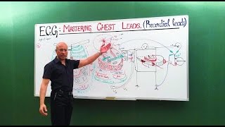 ECG  EKG  Chest Leads  Cardiology  Dr Najeeb🩺 [upl. by Honig500]