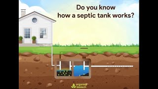 How A Septic Tank Works Septic Tank Treatment  Organica Biotech [upl. by Dnartreb]