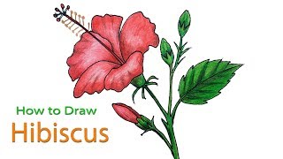 How to Draw Hibiscus flower Step by Step Very Easy [upl. by Nytsua354]