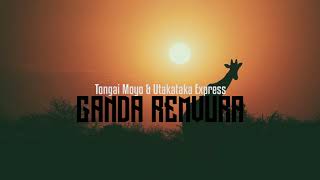 Tongai Moyo  Ganda Remvura [upl. by Marielle649]