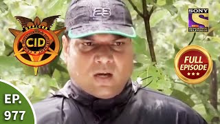 CID  सीआईडी  Ep 977 Jungle Mystery  Full Episode [upl. by Beverlie]