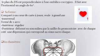 GYNECOLOGIE EXAMEN CLINIQUE DU BASSIN OBSTETRICAL NORMAL [upl. by Jacobson]