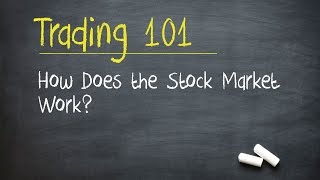 Trading 101 How Does the Stock Market Work [upl. by Janicki179]