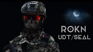 South Korean Special Forces  ROK Navy SEALs UDTSEAL [upl. by Torrance]