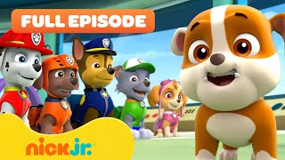 Rubble Joins the PAW Patrol and the Pups Save a Walrus  FULL EPISODES  Nick Jr [upl. by Henri18]