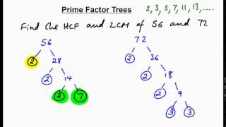 Prime factor trees  finding HCF  LCM N [upl. by Apeed]