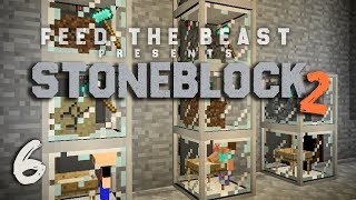 StoneBlock 2 Modpack Ep 6 Automatic Sieve Setup  Item Sorting [upl. by Ymeraj382]