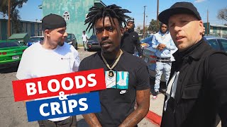 Inside LAs Most Dangerous Hoods  Meeting Bloods amp Crips 🇺🇸 [upl. by Ranice927]