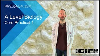 Core Practical 1  A Level Biology [upl. by Conan]