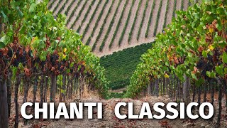 Great Italian Wines CHIANTI CLASSICO [upl. by Thenna617]