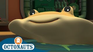 StayHome Octonauts  Shocking  Full Episodes  Cartoons for Kids [upl. by Gunther252]