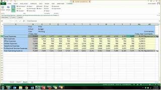 Oracle Enterprise Planning and Budgeting Cloud Service EPBCS Demonstration [upl. by Dodge314]