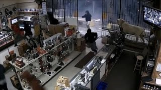 Three arrested in violent Texas gun store robbery [upl. by Scottie681]