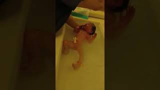 newborn first bath [upl. by Other]