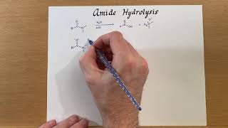 Amide Hydrolysis [upl. by Annaiek]