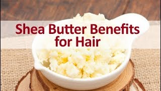 10 Best Benefits of Shea Butter for Hair [upl. by Yrffej948]