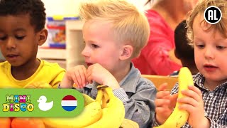 FRUITLIED  Kinderliedjes  Kinderdagverblijf  Minidisco [upl. by Chandos]