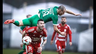 Ludogorets  Botosani 11  Friendly game [upl. by Ayle]