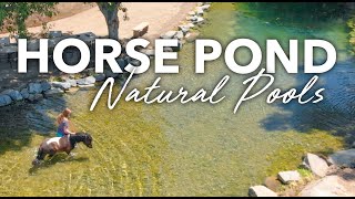 NATURAL POOLS For HORSES  No Chlorine  Aquascape SWIM POND Biological Filtration [upl. by Saiasi60]