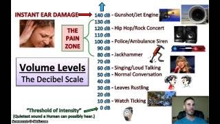 Physics Lesson  Volume Levels The Decibel Scale [upl. by Melvena]