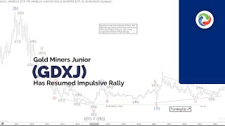 Gold Miners Junior GDXJ Has Resumed Impulsive Rally [upl. by Ennahteb]