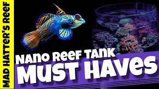 Top 10 Nano Reef Tank Must Have Items [upl. by Anovahs351]