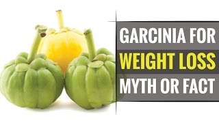 Does Garcinia Cambogia helps in Quick Weight Loss [upl. by Nyrrad538]