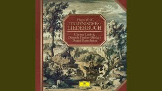 Wolf Italienisches Liederbuch  No 7 Der Mond hat eine schwere Klag [upl. by Huff]