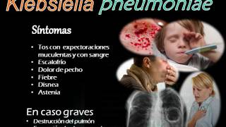 Video Clase Klebsiella [upl. by Dinah]