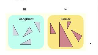 8th Grade Math Congruence and Transformations [upl. by Fronnia]