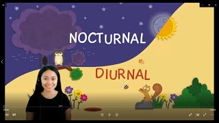 Nocturnal and Diurnal Animals  Grade 46 Science  T Ann [upl. by Filbert41]