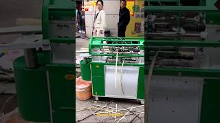 Sugarcane Peeling amp Cutting Machine [upl. by Irita993]