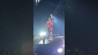 Billie Eilish Catches Bra While Performing [upl. by Rexfourd841]