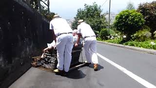 Madeira Toboggan Ride [upl. by Elwin]