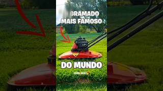 O gramado mais famoso do mundo shorts [upl. by Nila]