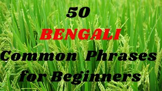 50 Common BENGALI Phrases for Beginners [upl. by Attenoj]