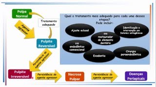 Aula de Patologia da Polpa e do Periápice [upl. by Duester640]