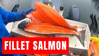 How to Fillet Salmon Monster Kings Coho and Pinks By Captain Cody [upl. by Oriana]