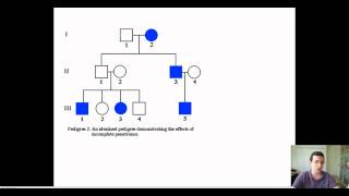 Advanced Pedigree Patterns [upl. by See415]