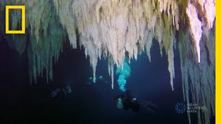 Explore the Worlds Largest Underwater Cave  National Geographic [upl. by Jelle512]