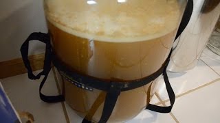 Homebrewing Basics Fermentation [upl. by Edina]