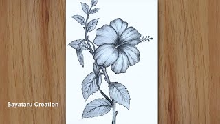 How to draw a hibiscus flower step by step pencil sketch  China rose Drawing for beginners [upl. by Tedie]