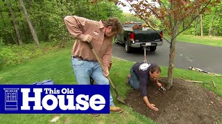 How to Properly Mulch Around a Tree  This Old House [upl. by Neryt]