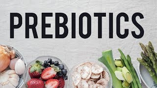 Prebiotics  Food for your Microbiome [upl. by Tterej]