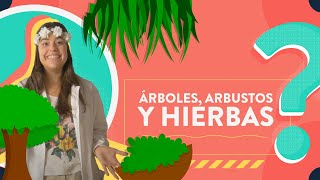 Árboles arbustos y hierbas [upl. by Marou]