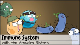 Immune System [upl. by Anavas]