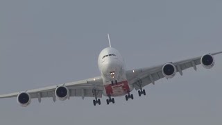 John F Kennedy International Airport  January 15 2011 [upl. by Eleon39]