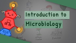 Introduction To Microbiology [upl. by Euginom764]