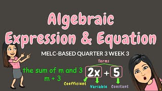 ALGEBRAIC EXPRESSIONS amp EQUATIONS  GRADE 6 [upl. by Daren]